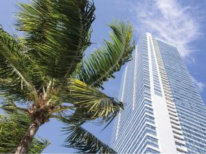 a tall building with a palm tree in front of it at Private condo hotel at Four Seasons Brickell in Miami