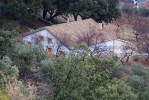 una casa en la cima de una colina con árboles en Casa Rural Las Encinas, en Marchena