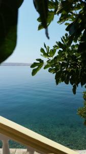a view of a body of water through a tree at Apartments Dalibor - 5m from the sea with parking in Lukovo Šugarje