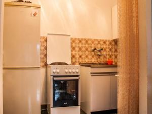 Il comprend une cuisine équipée d'une cuisinière et d'un réfrigérateur. dans l'établissement Apartment Hajdi - with large terrace, à Pučišća