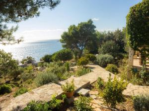 un jardín con el océano en el fondo en Holiday home Ani - 30 m from beach, en Maslinica