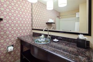 a bathroom with a sink and a mirror at Hotel Vue in Mountain View +6 photos