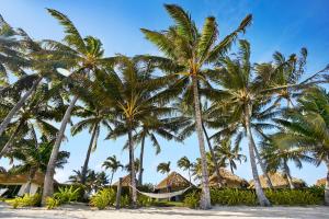 um grupo de palmeiras numa praia com rede de descanso em Motu Beachfront Art Villas em Rarotonga