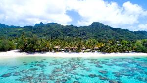 an island with palm trees and a white beach at Motu Beachfront Art Villas in Rarotonga