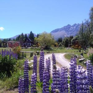 een veld van paarse bloemen met bergen op de achtergrond bij Del Viejo Camino in El Bolsón