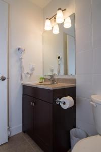 a bathroom with a sink and a mirror at Northwood Plaza Hotel in Prince George