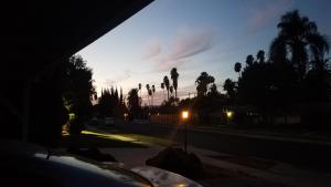 - Vistas a una calle con palmeras por la noche en Woodland Hills BEST Priced Room, en Woodland Hills