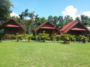 a row of palm trees in a grassy area at Phu View Guesthouse in Pai