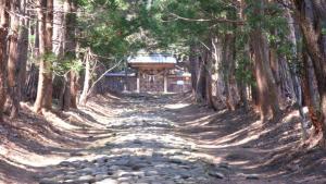 a dirt road with trees and a building in the distance at Tsubaki - the best guesthouse in Inawashiro - in Inawashiro
