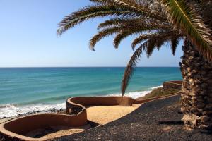 a sandy beach with a palm tree and the ocean at Sotavento Beach Club in Costa Calma