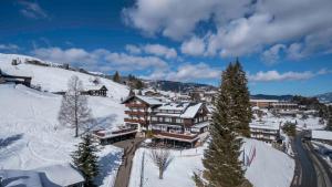 a ski lodge in the snow on a mountain at Der Berghof in Hirschegg