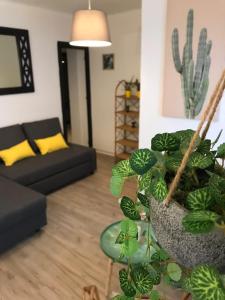 a living room with a couch and a potted plant at Cactus Apartment in Torremolinos