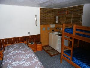 1 dormitorio con litera y lavamanos en Gästezimmer Zittau - Bed & Breakfast, en Zittau