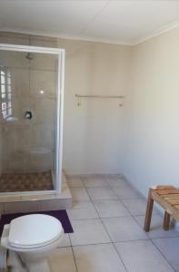 a bathroom with a toilet and a shower at BTV Guesthouse in Hazyview