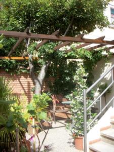a garden with a wooden pergola and some plants at Hotel Signorini in Castiglioncello