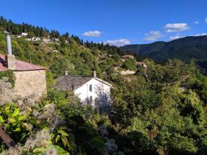 a small white house on a hill with trees at Petrameli in Karpenisi
