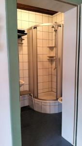 ein Bad mit einer Dusche und einem WC in der Unterkunft Villa Zeppelin - App Smaragd in Bramberg am Wildkogel