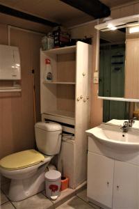 La petite salle de bains est pourvue de toilettes et d'un lavabo. dans l'établissement Gite Loredana, à Kirchberg