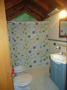 a bathroom with a shower with a toilet and a sink at Cabaña Milla Antü, Villa la angostura in Villa La Angostura