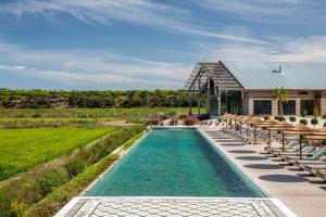 a swimming pool with chairs and a house at Quinta Da Comporta - Wellness Boutique Resort in Comporta