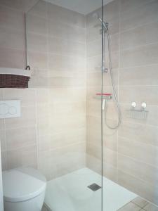 a bathroom with a shower and a toilet at Appartement B16 onde Marine in Port-Vendres +12 photos