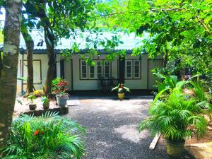 a garden with potted plants in front of a house at drongo place in Dickwella