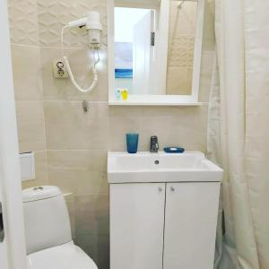 ein Badezimmer mit einem Waschbecken, einem WC und einem Spiegel in der Unterkunft Altyn Kun Hotel in Borovoye