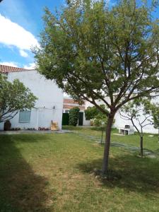 un árbol en un patio al lado de un edificio blanco en Casa Rural San Blas, en Sanjuanejo