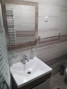 Ванная комната в Apartmani Nikola u vili Semeteš