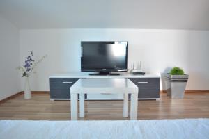 TV a/nebo společenská místnost v ubytování Apart-pansion Promajna