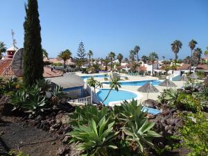 a resort with a pool and trees and palm trees at Appartamento Indipendente in Villa - Golf Del Sur in San Miguel de Abona