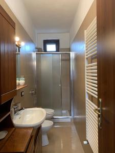 uma casa de banho com um chuveiro, um lavatório e um WC. em La Casetta Rosa em Travacò Siccomario