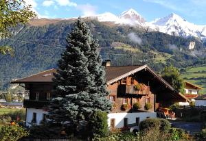 een grote dennenboom voor een gebouw bij Simiterhof in Matrei in Osttirol