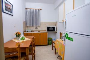 Kuchyň nebo kuchyňský kout v ubytování Maik Apartments