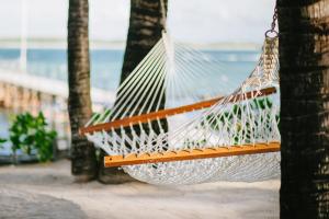 a hammock hanging between two palm trees on the beach at Tropical Attitude (Adults Only) in Trou dʼ Eau Douce