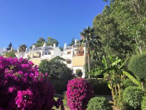 Zahrada ubytování Nueva Andalucia - Penthouse