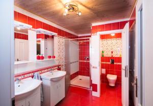 ein rotes Badezimmer mit WC und Waschbecken in der Unterkunft Chata Kadlečka in Lipno nad Vltavou