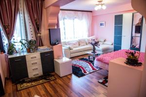 a pink room with a bed and a couch at Pensiunea Ingrid in Ranca