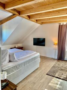Schlafzimmer mit einem Bett und einem Flachbild-TV in der Unterkunft Stadtvilla mit Pool in Jestetten