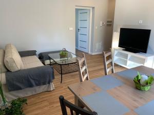 TV a/nebo společenská místnost v ubytování Grey apartment 50 m2