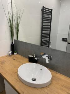Bilik mandi di Grey apartment 50 m2