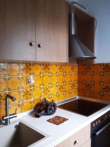 a kitchen with a sink and a stove at vila Foteini in Serres