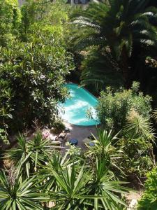 een uitzicht over het zwembad in de tuin bij Le Windsor, Jungle Art Hotel in Nice