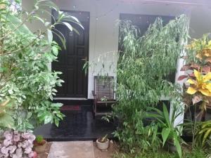 una puerta delantera de una casa con plantas en Sigiriya Camellia Home Stay en Sigiriya