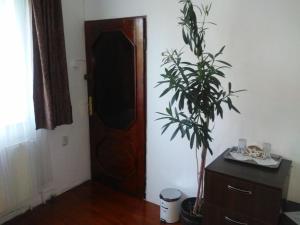 Fotografie z fotogalerie ubytování Smile Cluj v destinaci Kluž