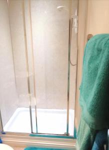 een douche met een glazen deur in de badkamer bij Sma Harbour Hoose in Gourdon