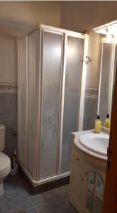 a bathroom with a shower and a sink and a toilet at Apartamento calle Sainza 2 in Ourense