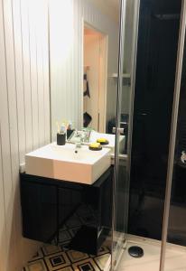 a bathroom with a sink and a shower at Charmant studio Mont Dore in Le Mont-Dore