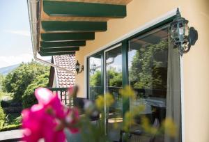 Nespecifikovaný výhled na hory nebo výhled na hory při pohledu z hotelu