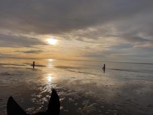 two people standing on a beach with the sun in the water at Haus Frauenpreiss 67 in Cuxhaven